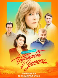 Однажды в Залесье российский сериал